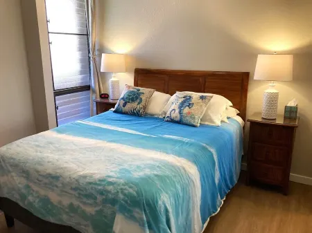 Ocean View, Fully Remodeled, New AC, Walk to Beach