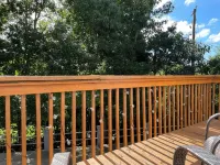 Quiet mountain retreat convenient to hiking and Asheville