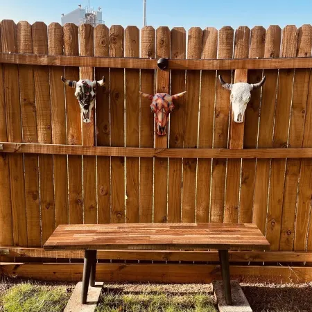 Tiny home in Fort WorthCasita” - Cozy and cheerful home