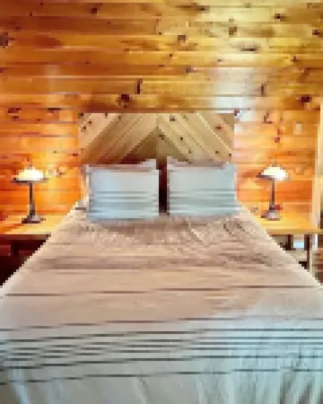 Beautifully Renovated Vintage Cabin in the Heart of Manistee National Forest
