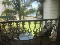 The Ocean- Cozy Condo in the heart of Kona 코나 호텔