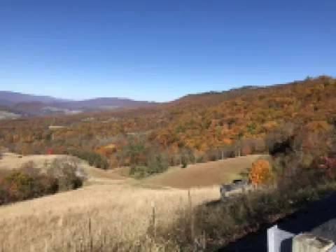 ~ Cabin in the Wildwoods ~ Secluded ~ Rustic ~ Family Friendly~ Pendleton County otelleri