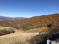 ~ Cabin in the Wildwoods ~ Secluded ~ Rustic ~ Family Friendly~