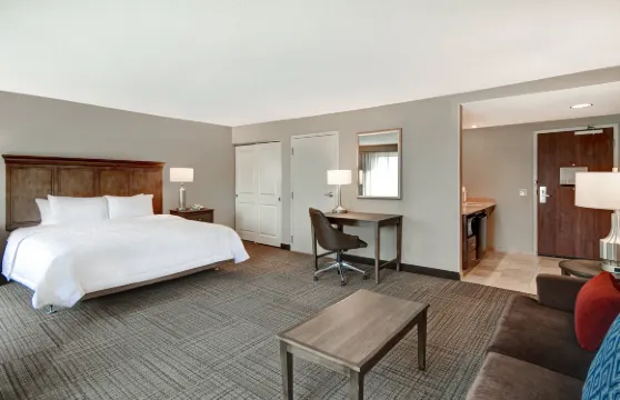 希爾頓歡朋套房酒店-亞歷山大南舊城區