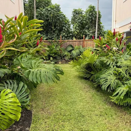 1 bdrm peakaboo ocean view walk to Turtle Beach, Alii Garden Mkt,Kona Village-1D