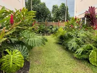 1 bdrm peakaboo ocean view walk to Turtle Beach, Alii Garden Mkt,Kona Village-1D