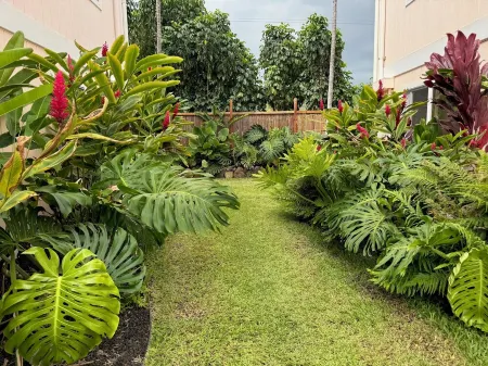 1 bdrm peakaboo ocean view walk to Turtle Beach, Alii Garden Mkt,Kona Village-1D Отели рядом с достопримечательностью «Moonshot Play Space, LLC»