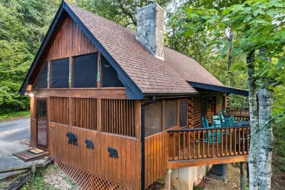 Romantic Hideaway: Near Dollywood & Outlets Intimate, Fireplace, Private Hot Tub Hotels near KARM Stores