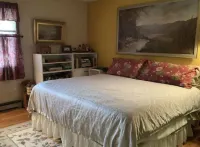 Windswept Cottage - Close to skiing, wedding venues, & hiking! Hotels in Roxbury
