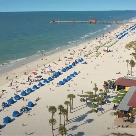 ★ SCENIC POOLSIDE❤ tastefully decorated and minutes away from Clearwater Beach