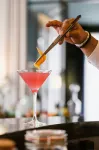 Renaissance Brussels Hotel - bar