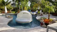 ⭐  Beautiful Private Backyard Resort Heated Pool/Spa Downtown & Beaches