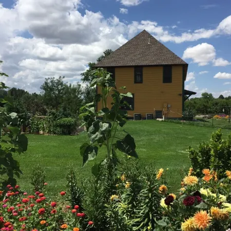 LARGE HOUSE - Perfect for groups! In the middle of WINE COUNTRY - WALK TO TOWN!