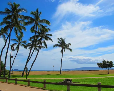 Completely remodeled! Walk to the beach! King bed!