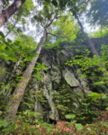 Cozy Elkton Cabin near Shenandoah 25 min