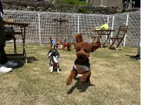Pet Resort Villa MOU - 3星級