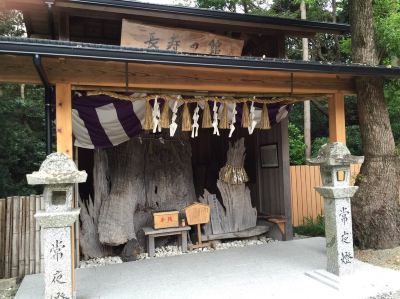 共有エリア 四季の味舞台 かんえいの写真