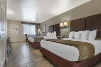 Best Western Padre Island - Pet friendly