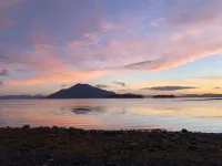 Good Vibes Cabin - Car Rental Available!