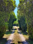 An ancient farmhouse for your holidays