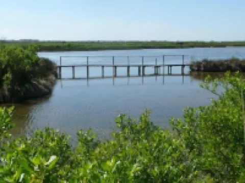 House Arcachon  with Garden, Near the City Center and Port Larros Hotels in Gujan-Mestras