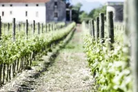 Agriturismo De Luca