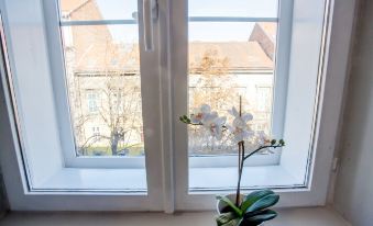 Zagreb City Vibe Apartments & Rooms