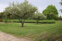 villa with private pool in a quiet area: Les Oliviers Hotels in Mallemort