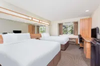 ナイツ イン アレンタウン