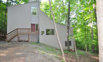 Black Forest - 5 Bedroom Escape