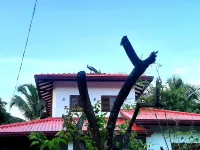 Udara Guest - Yala Safari