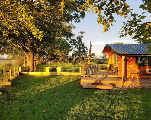 Cosy Wood Cabin in Rural Area Near National Park Hotels in Cumnock