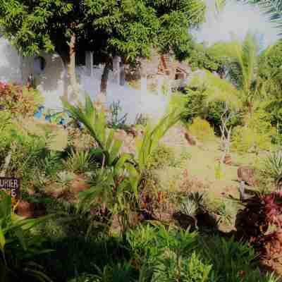 Le Grand Bleu Hotel Exterior