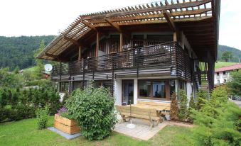 Apartment in Kirchdorf Near Ski Slopes