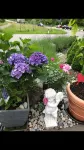 Swiss Star Home Hotels in Uster
