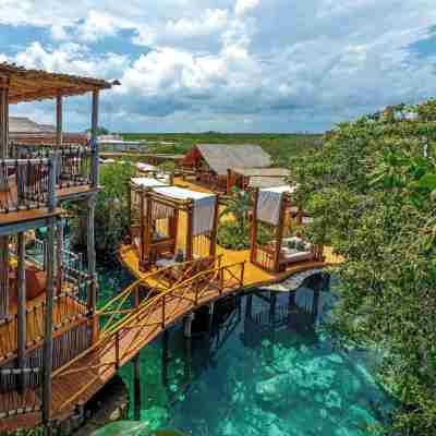 Hotel Shibari - Restaurant & Cenote Club Hotel Exterior