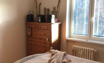 Lovely and Freshly Renovated Apartment in Praha 10