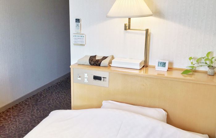 Downtown Hotel
