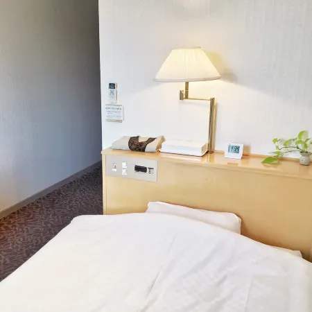 Downtown Hotel