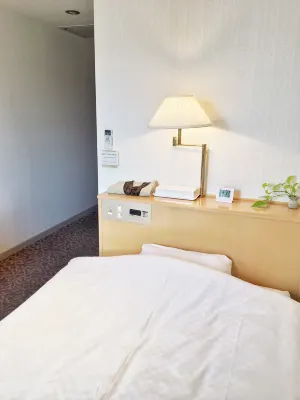 Downtown Hotel Hotels near Minjindo