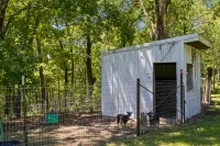 Charming Cabin with Fire Pit and Walking Trails - Inviting Family Retreat