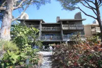 Stunning Beachfront Retreat with Lush Balcony and Gourmet Kitchen - Exquisite Paradise