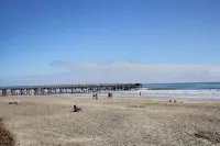 3rd Floor Condo w/Amazing Ocean Views! Pool & Pier Access! In Heart of IOP! 棕櫚島住宿飯店