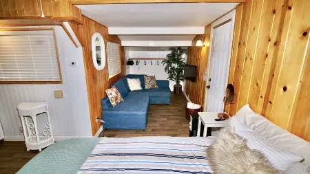 Cozy Cabin with Peek-a-Boo Views - Charming Retreat Amid Tall Pines