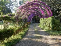 Tropical Magnolia Resort - Wi-Fi