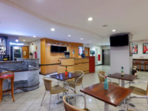 Ibis Teresina