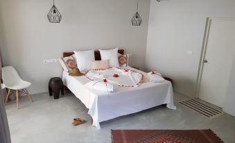 Coco Villa