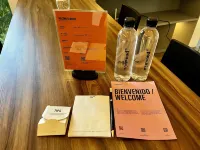 Zacatecas 502 by Wynwood House