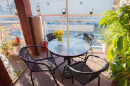 순천만포시즌호스텔