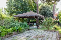 Artisti Del Cavallo Tourism Hotels in Lucignano